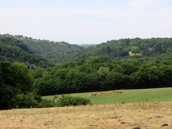 Paysage de bord de Creuse