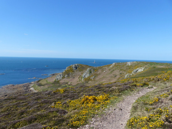 Paysage du Cotentin