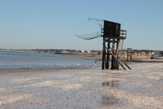 Pêcherie près de Tharon