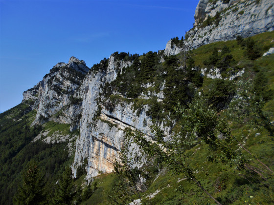 Pente herbeuse sous la vire