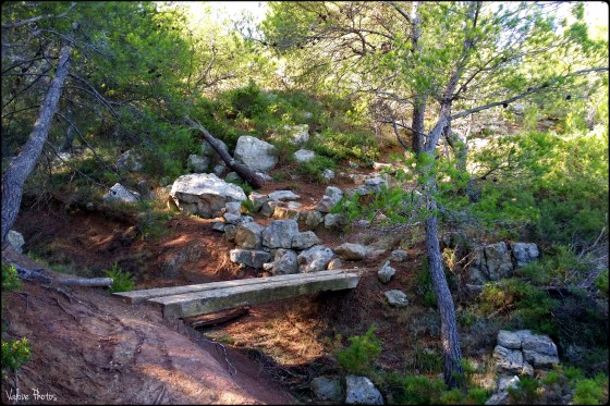 Petit pont de bois