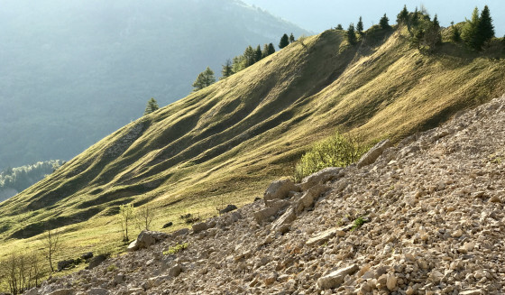 Peu après l\'aurore sur l\'épaule du ravin de Farnaud