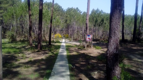 Piste cyclable cimentée