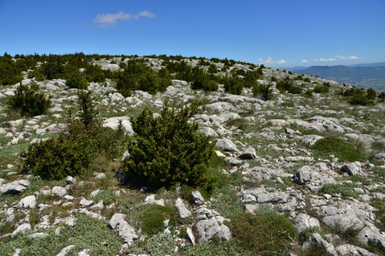 Plateau calcaire