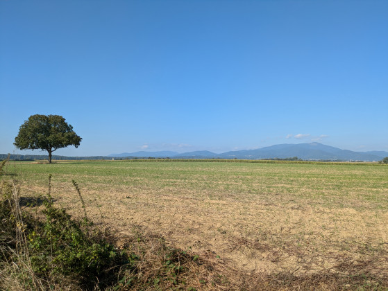 Point de vue dégagé sur les Vosges