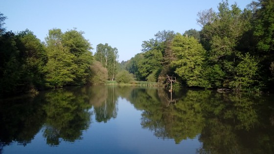 Randonnée autour d'un lac francilien, aux étangs de Montbron