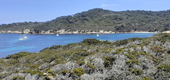 A Faire : Balade Dans Porquerolles - Randonnée