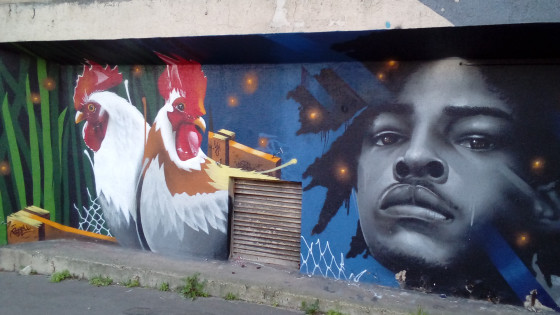 Rasta et coqs