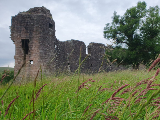 Remains of Morton Castle and Morton Loch - Walk