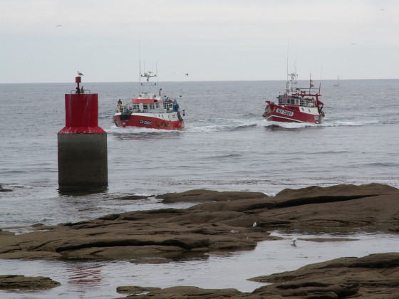 Retour de pêche