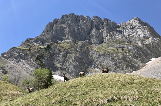 Rocher de Séguret