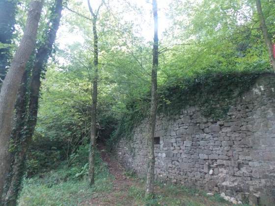 Ruines de Château Thierry