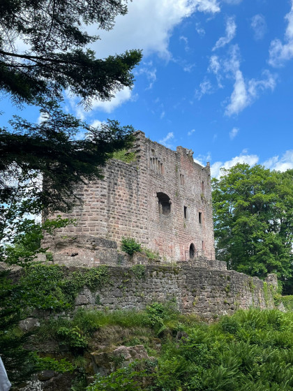 Ruines du ch&acirc;teau de Birkenfels