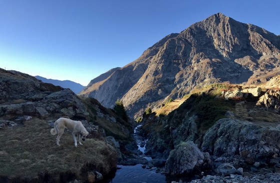 Ruisseau de l\'Échaillon près du refuge du Taillefer