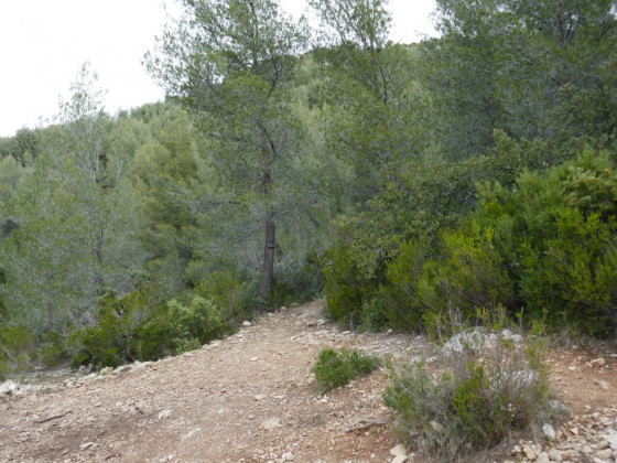 Départ de sentier