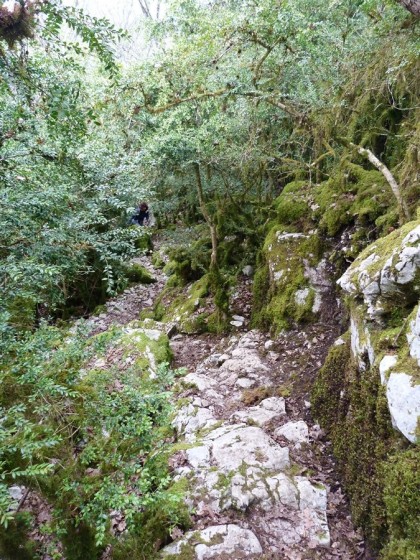 Sentier balisé