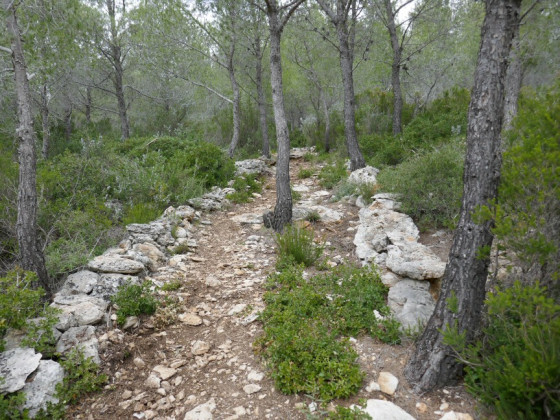 Sentier bien aménagé