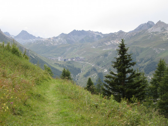 Sentier herbeux