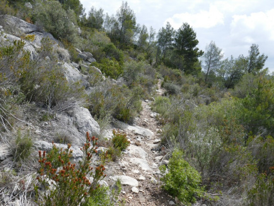 Sentier montant à la Roche Curade