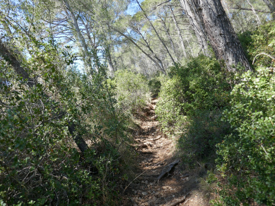 Sentier montant à la Sabatière