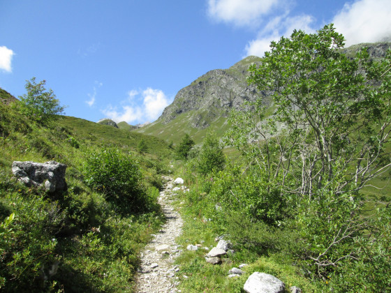 Sentier montant vers le vallon de la Sache