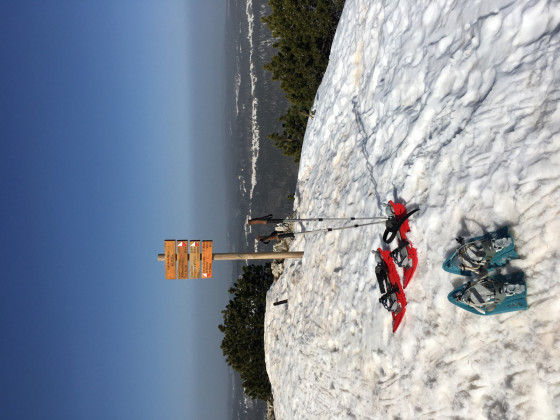 Sommet Crêt de la Neige