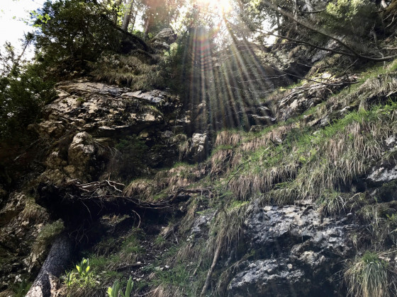 Sortie du sangle de Belles Ombres à la Porte de l'Alpette