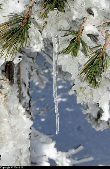 Stalactite de glace