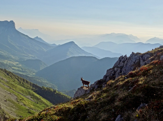 Sur la crête, juste au-dessus du Pas de Berrièves