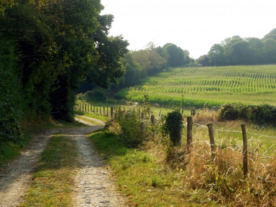 Sur le chemin de crête entre Azérables et l'étang de la Chaume