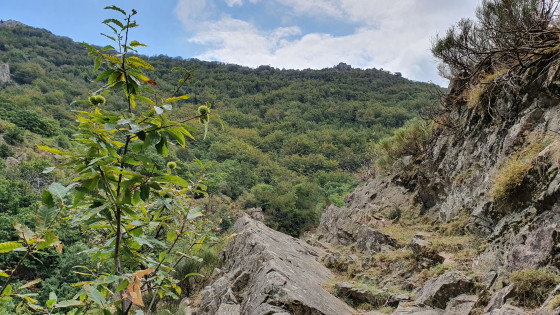 Sur une portion min&eacute;rale du sentier
