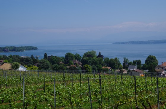 Tour du Lac Léman en Marche Nordique