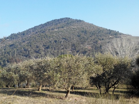 Une colline