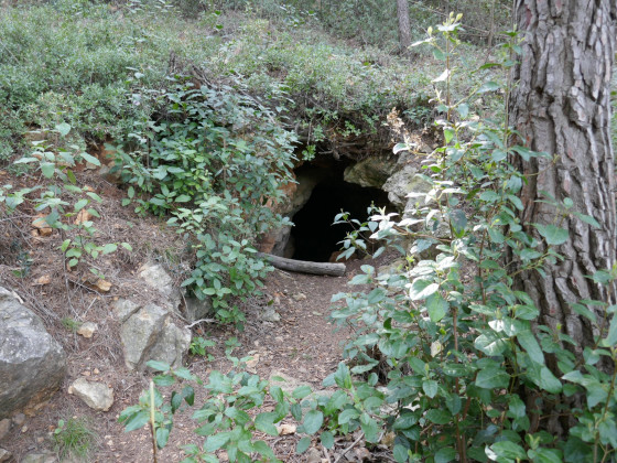 Une grotte sous la Courtine