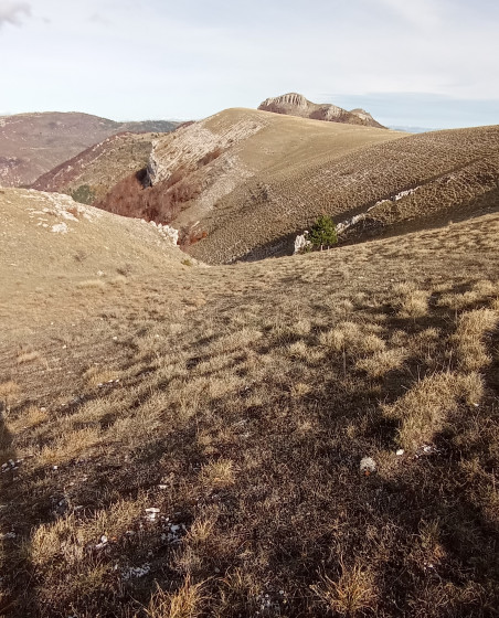 vallon en descente (12)