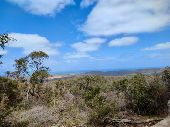 Currawong Falls circuit - Walk