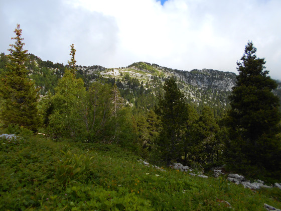 Vue de la crête