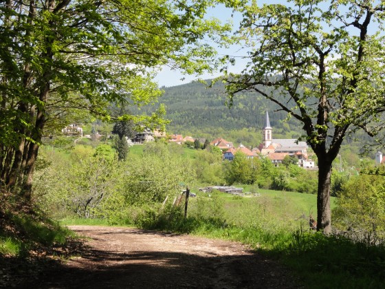 Vue de Thannenkirch