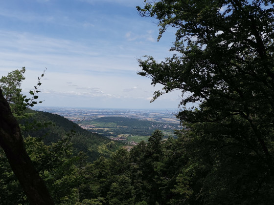 Vue depuis le rocher d'Oberkirch