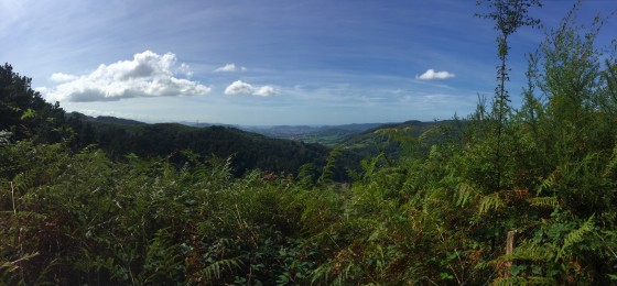 Vue panoramique