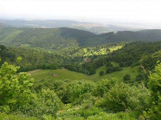 Vue sur la plaine d'Alsace