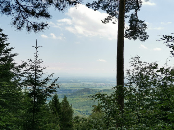 Vue sur la vall&eacute;e