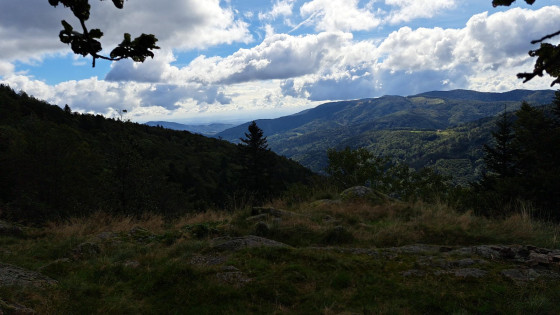 Vue sur les Vosges