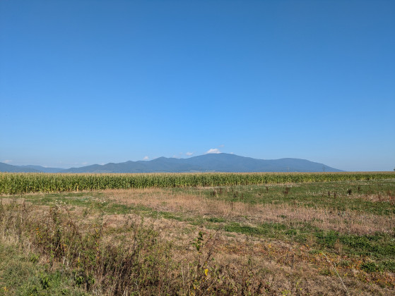 Vue sur les Vosges