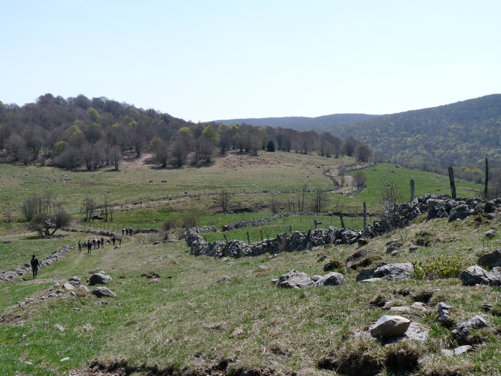 Paysage de l'Aubrac