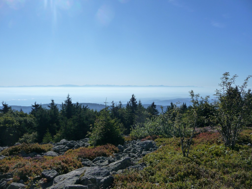 Vue depuis les hauteurs du Pilat