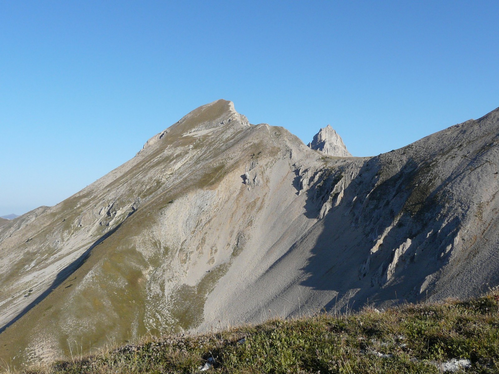 La tête de Garnesier