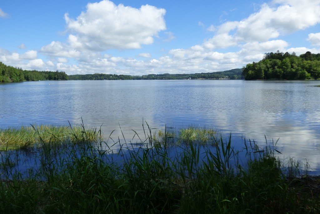 Lac dans le Morvan