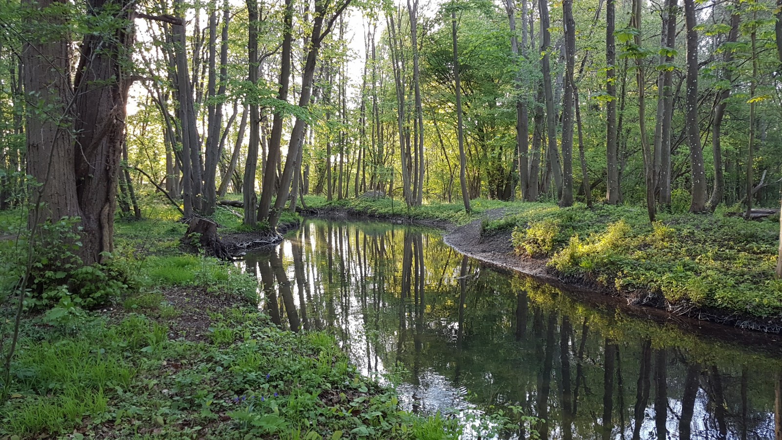 20 randonnées à faire Thève (rivière) - Affluent de l'Oise