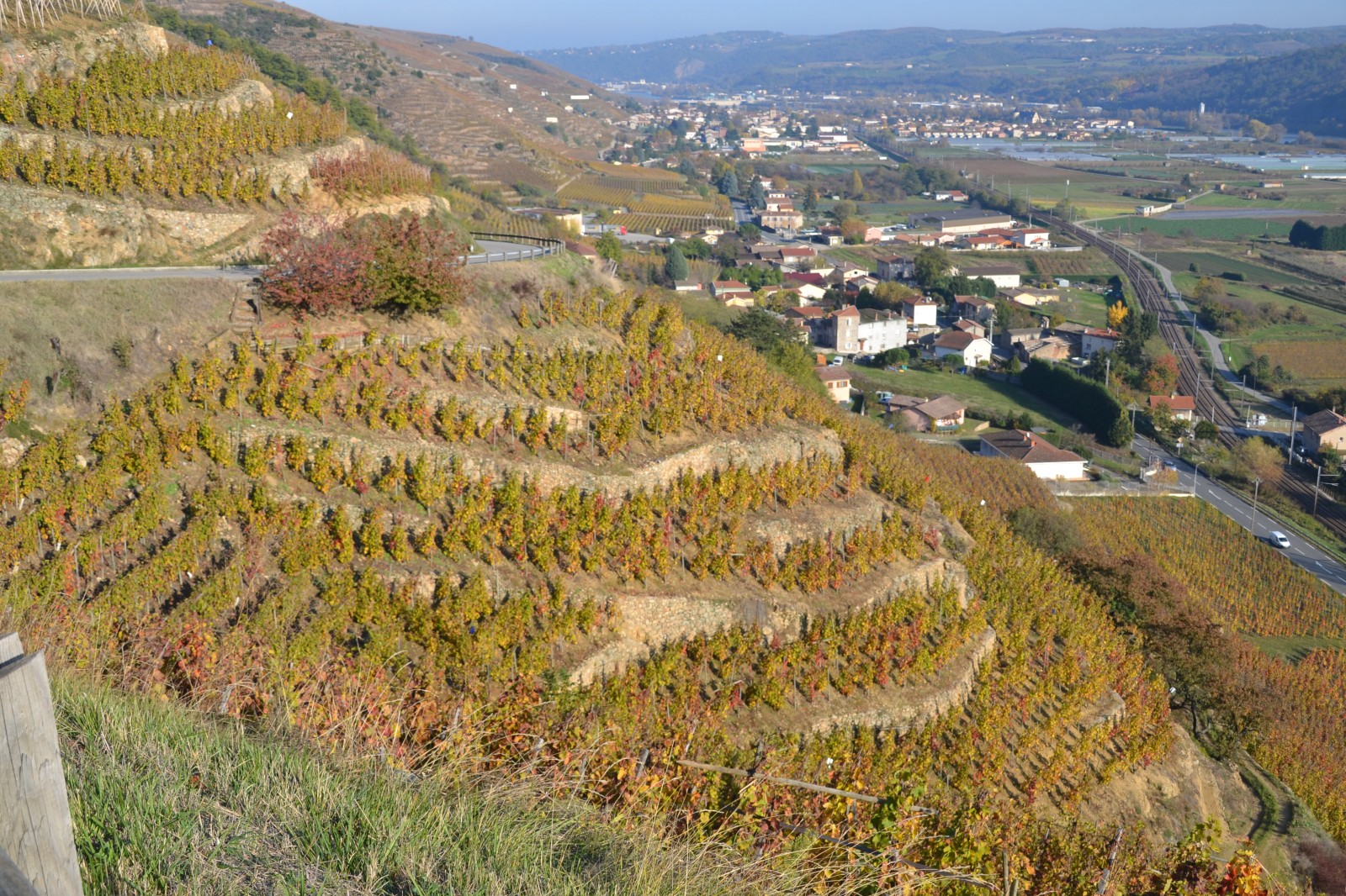 Paysage des côtes du Rhône